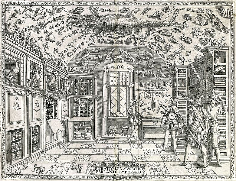wunderkammer Ferrante Imperato of Naples, 1599.