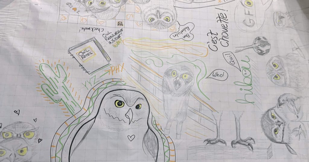 A large piece of paper full of illustrations of burrowing owls and owl-ish objects like a notebook. Owls are drawn in pencil and marker. All the owls have yellow eyes. 